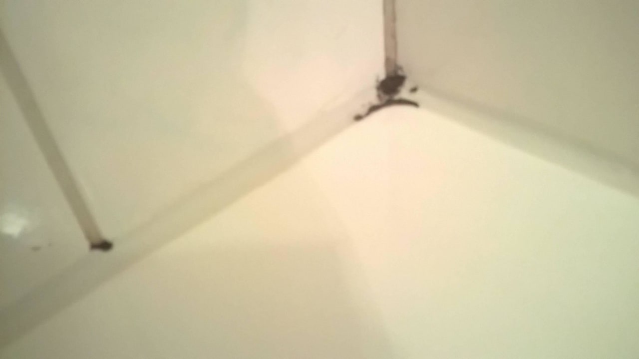 Schimmel in der Dusche Aparthotel Terrassenhof