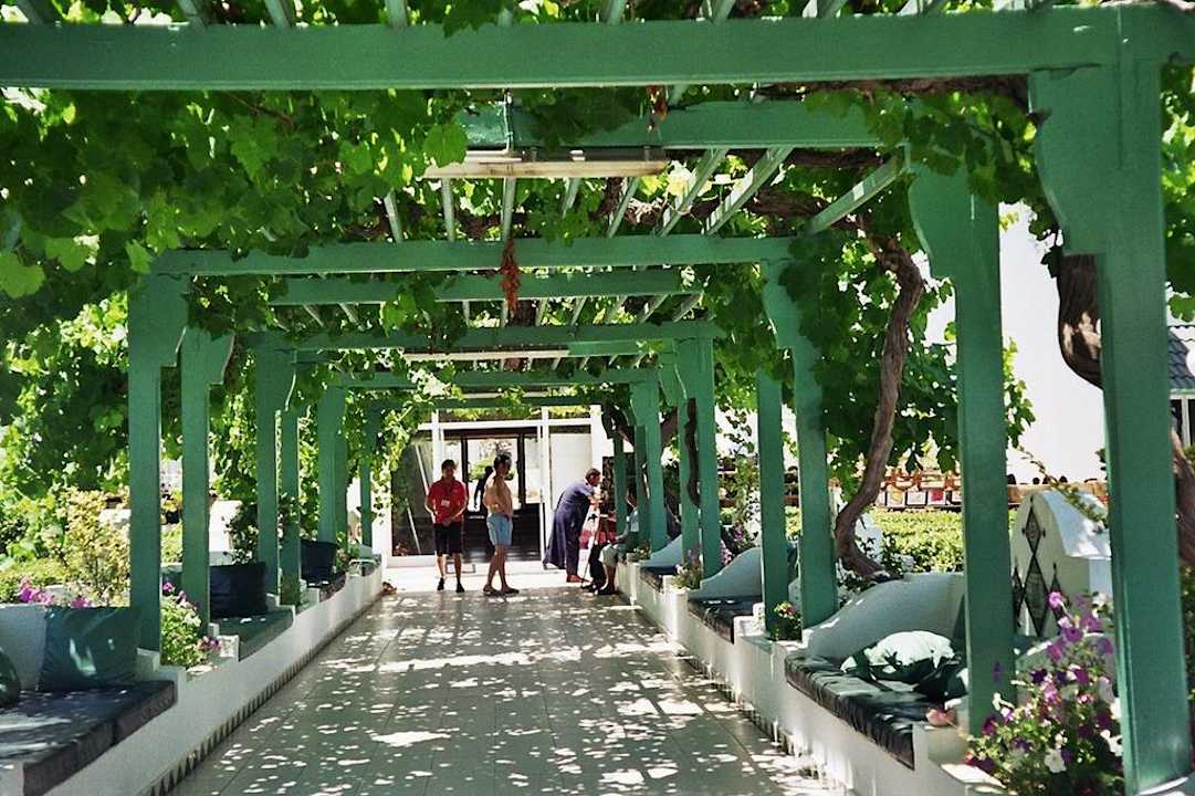 Laubengang vom Poolbereich ins Hotel Hotel El Mouradi Cap Mahdia