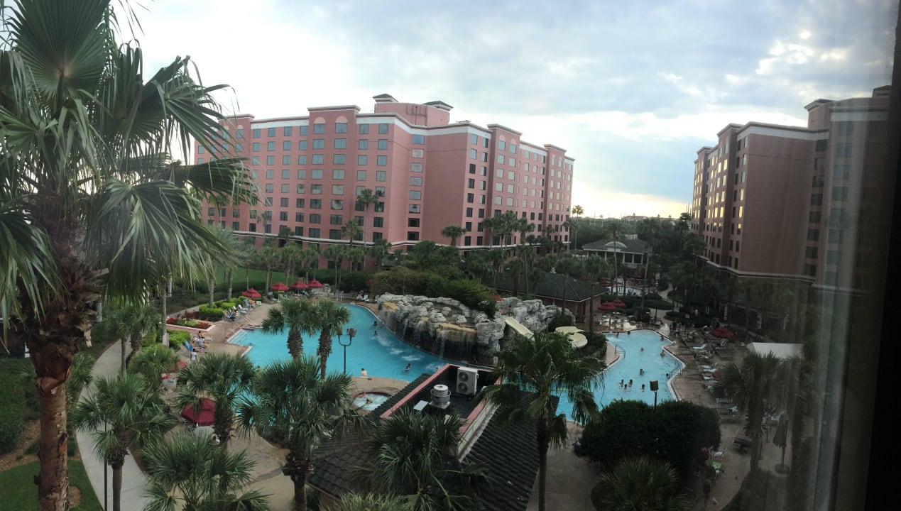 Poolanlage und Garten Hotel Caribe Royale Resort Suites