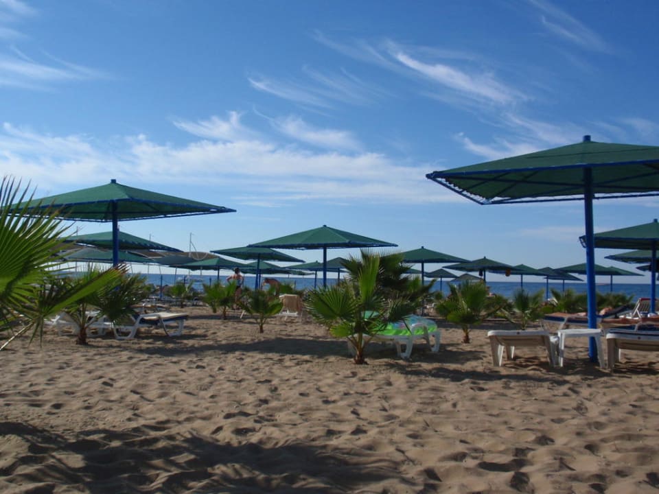 Der wunderschöne Strand am Morgen Paloma Oceana