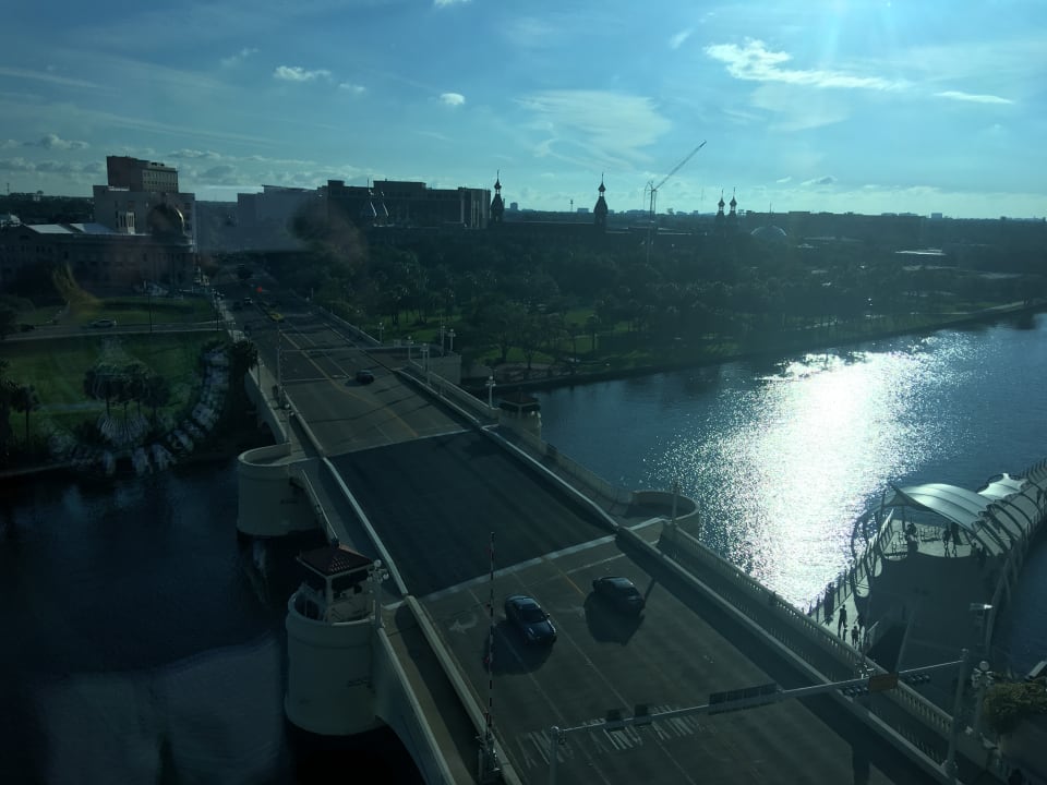 Ausblick Aloft Tampa Downtown