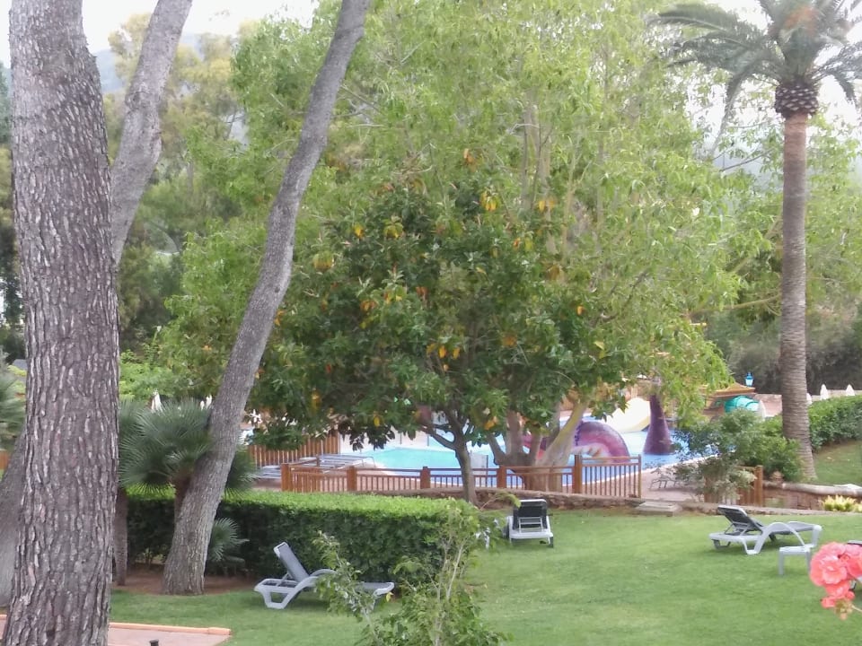 Gartenanlage Hotel Beach Club Font de Sa Cala