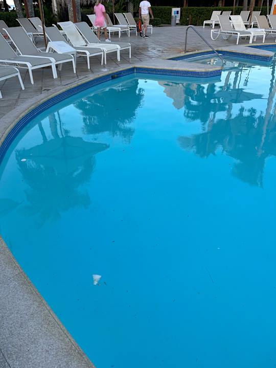 Pool Sunscape Dominicus La Romana