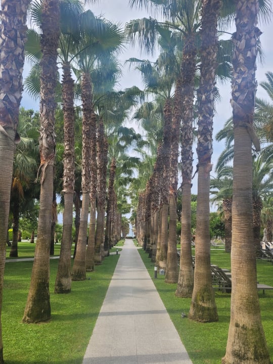 Gartenanlage Hotel Miramare Beach