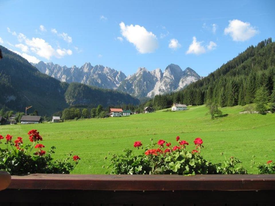 View with the mountains from the breakfast room Frühstückspension Pachler