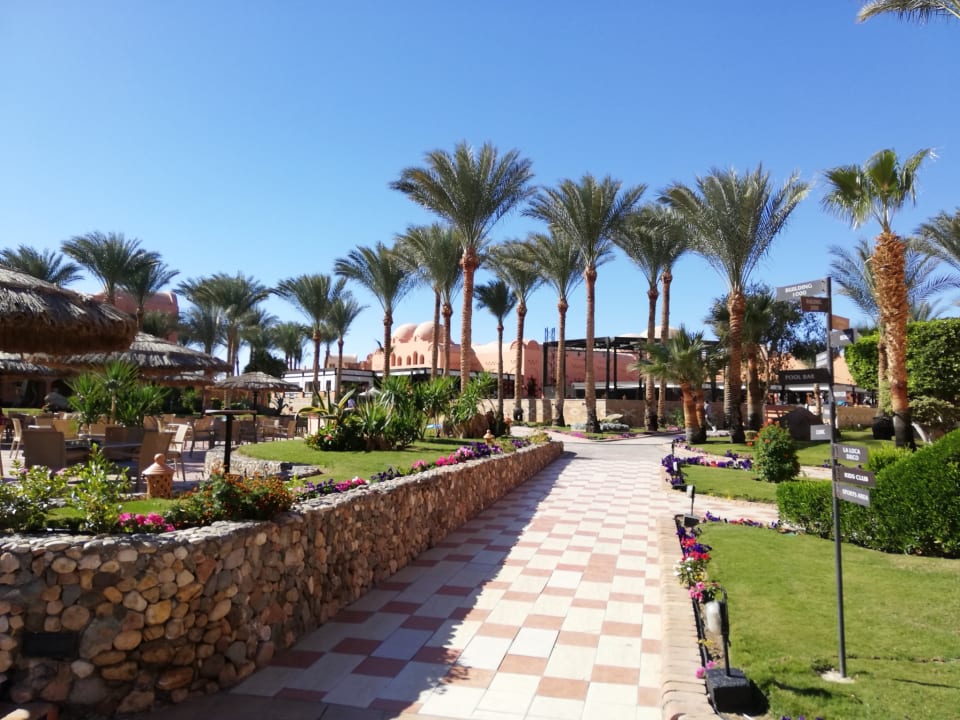 Gartenanlage Jaz Makadi Oasis Resort