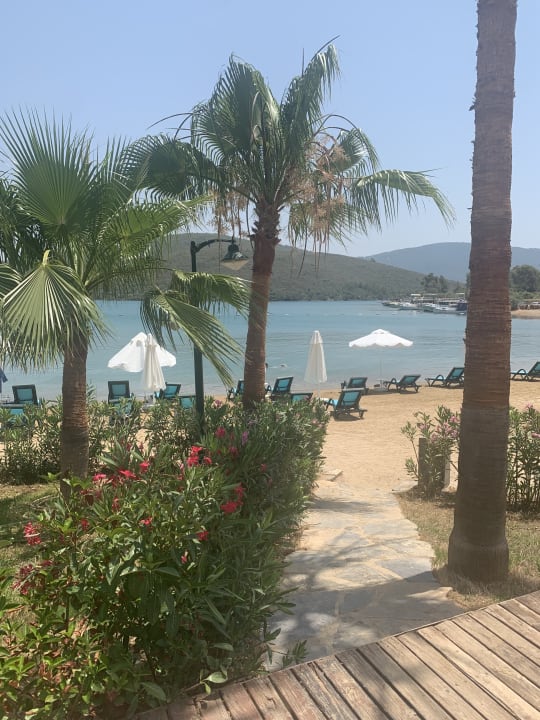 Ausblick Green Bay Resort & Spa