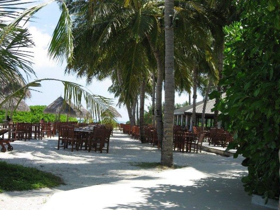 Main Bar Villa Park Sun Island