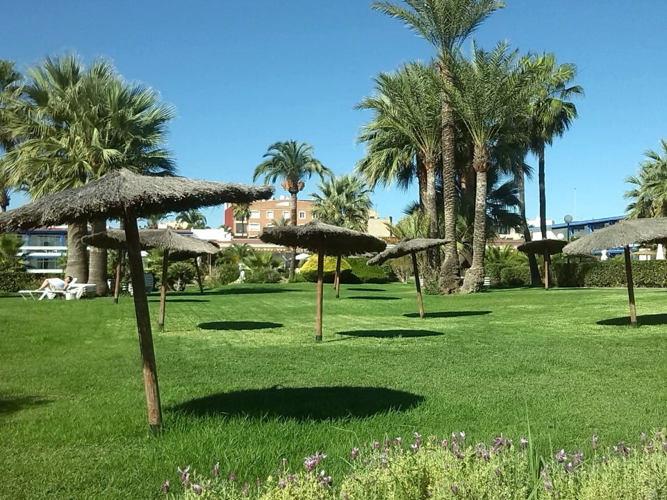 Gartenanlage Hotel Parador de Benicarlo