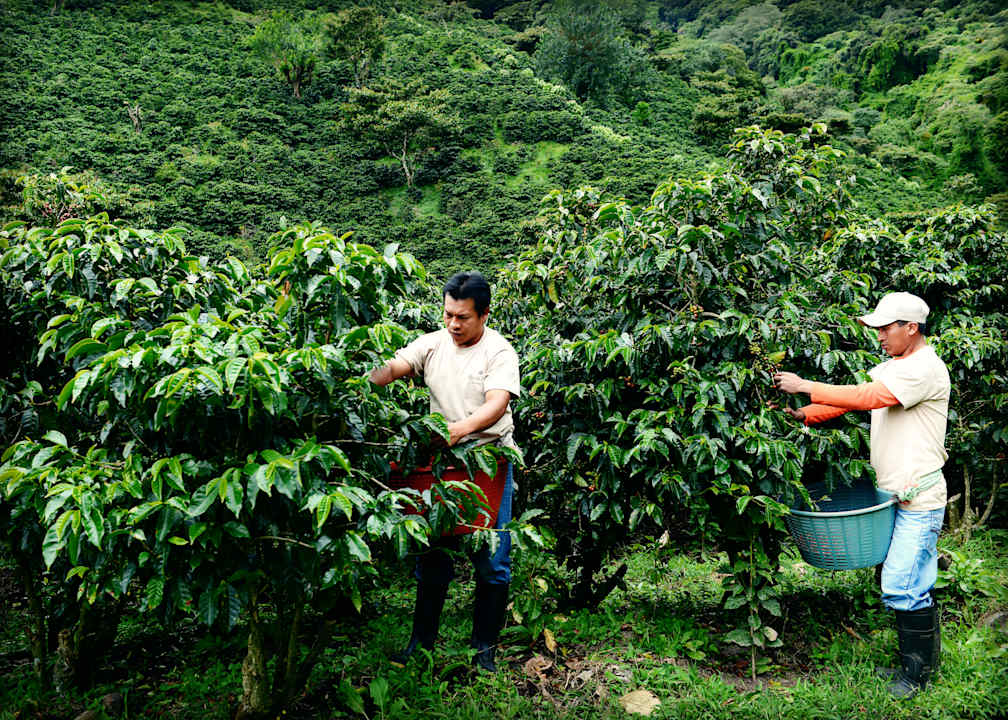 Sonstiges Hotel Finca Lerida