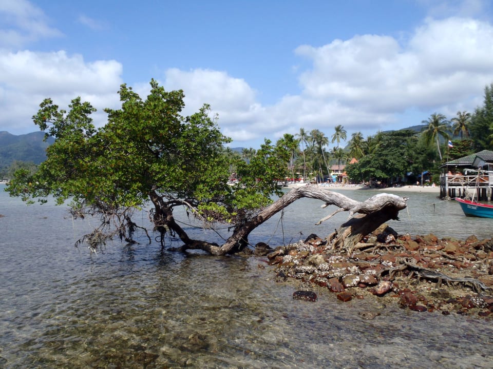 Hotelstrand im Hintergrund Dinso Resort & Villas Ko Chang, Vignette Collection by IHG
