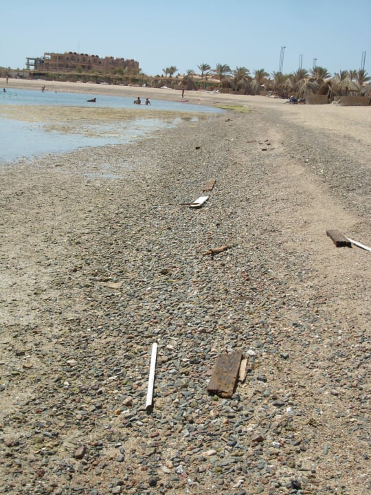 Das muss nicht sein Utopia Beach Club