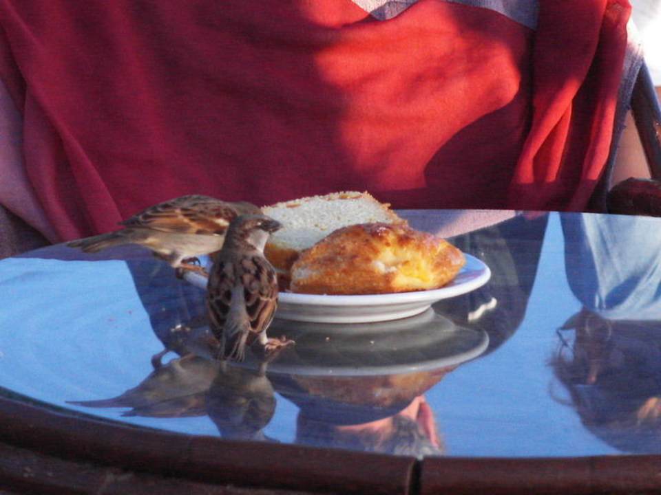 Hauza Hotel Hauza Beach Resort