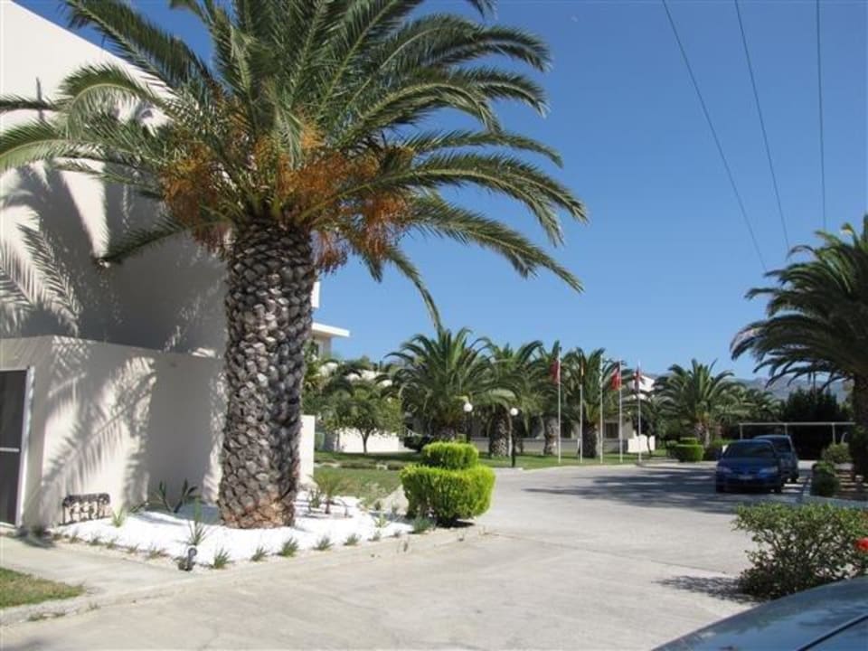 Blick vom Parkplatz zum Eingangsbereich Hotel Esperia