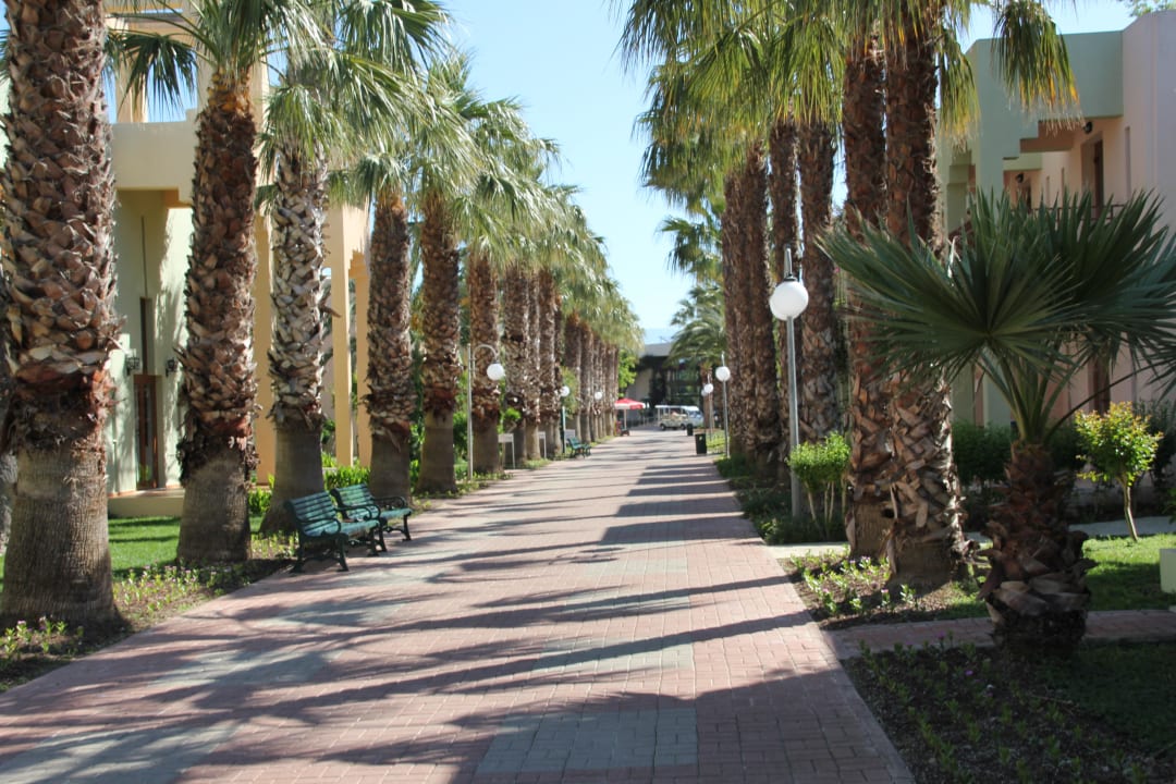 Weg zum Strad VONRESORT Golden Beach