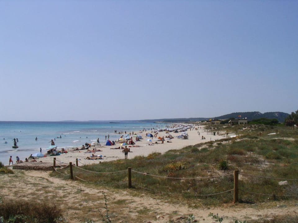 Der Strand von Son Bou Royal Son Bou Family Club
