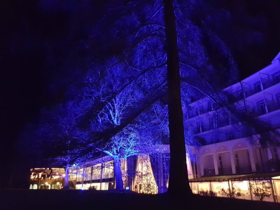 Beleuchteter Garten bei Nacht Steigenberger Hotel Der Sonnenhof