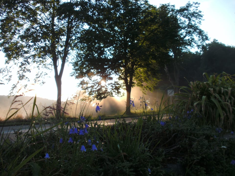Nach dem großen Regen Naturhotel Gasthof Bärenfels
