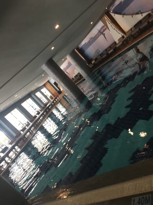 Pool Hotel Botanik Platinum