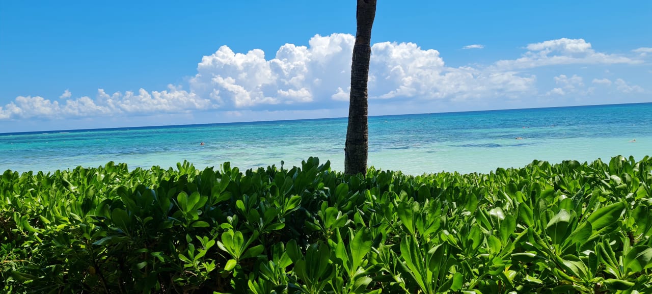 Ausblick Akumal Bay Beach & Wellness Resort