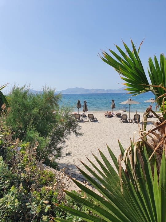 Strand Hotel Horizon Beach Resort