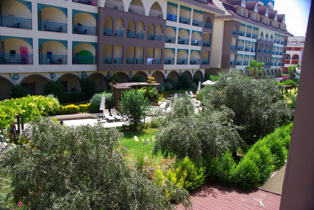 Gartenanlage Well Palace Side