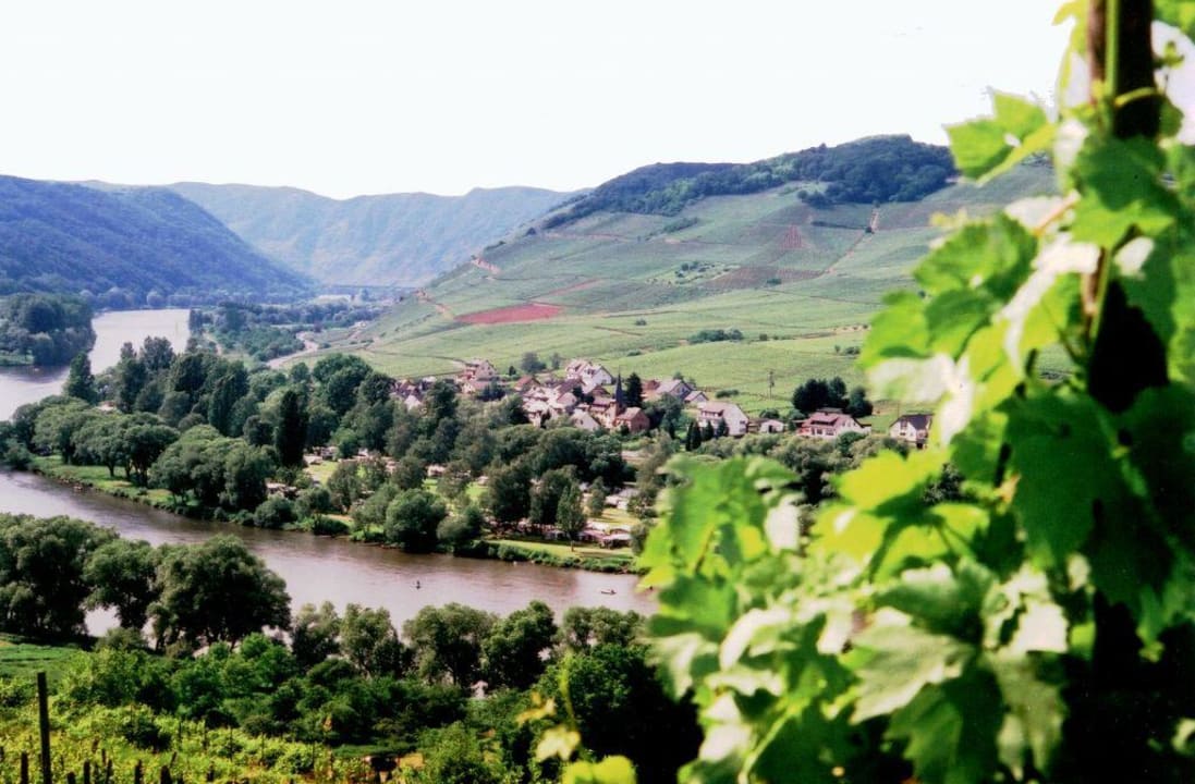 Aussicht/Ausblick Pension Am Römerberg