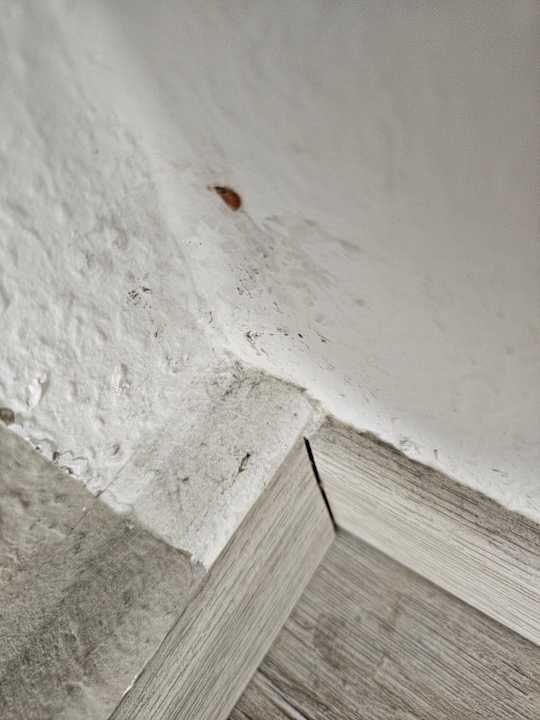 Zimmer Hotel Berlin Lichtenberg