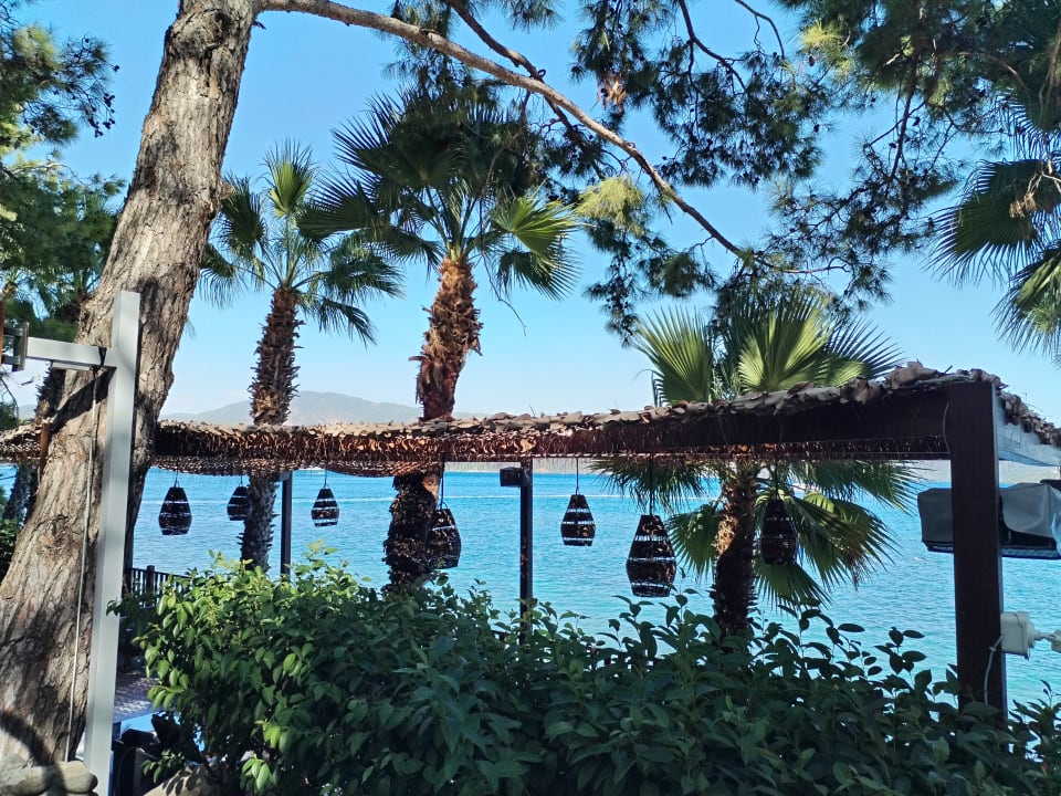 Gartenanlage Labranda Mares Marmaris