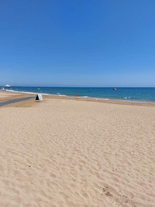 Strand Seashell Vega