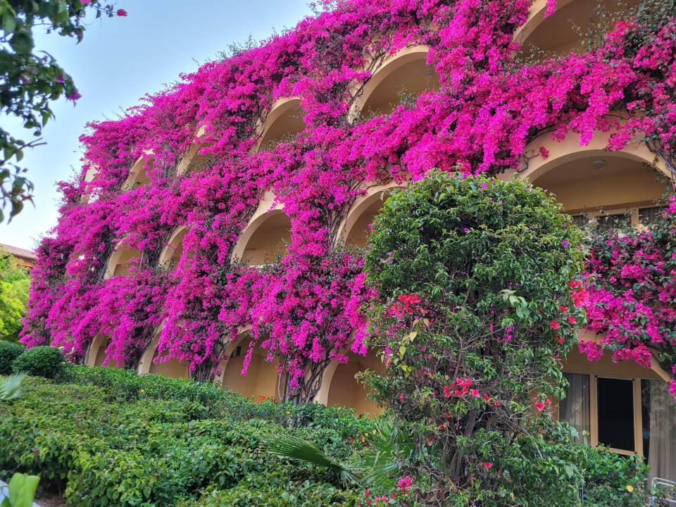 Gartenanlage TUI MAGIC LIFE Calabria