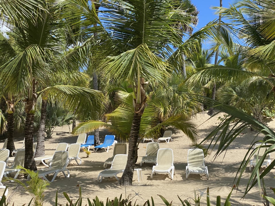 Strand Hotel Riu Republica - Adults only