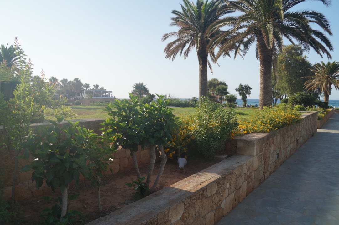 Gartenanlage Kernos Beach Hotel & Bungalows