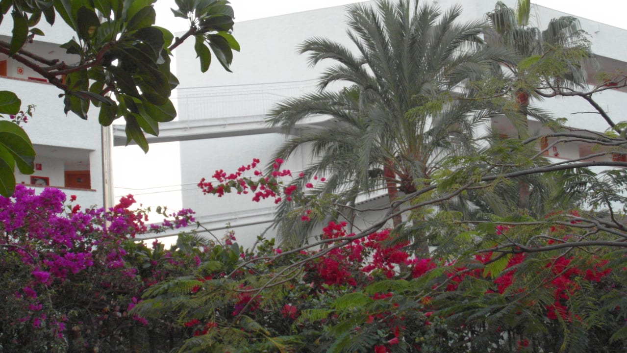 Ausblick Artemisa Gay Bungalows