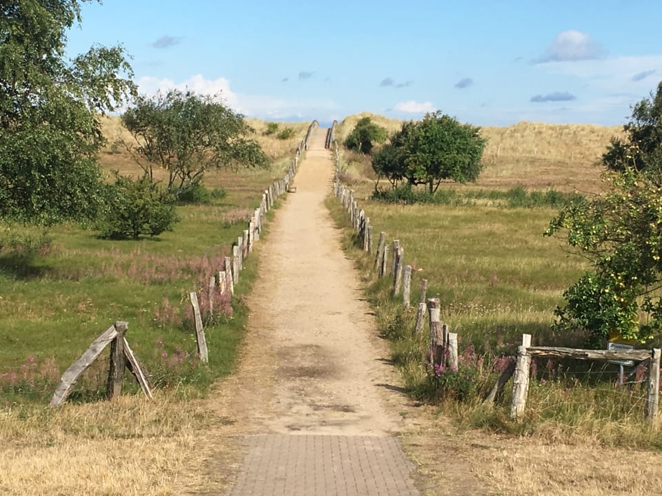 Gartenanlage Ferienwohnungen Ferienpark Weissenhäuser Strand