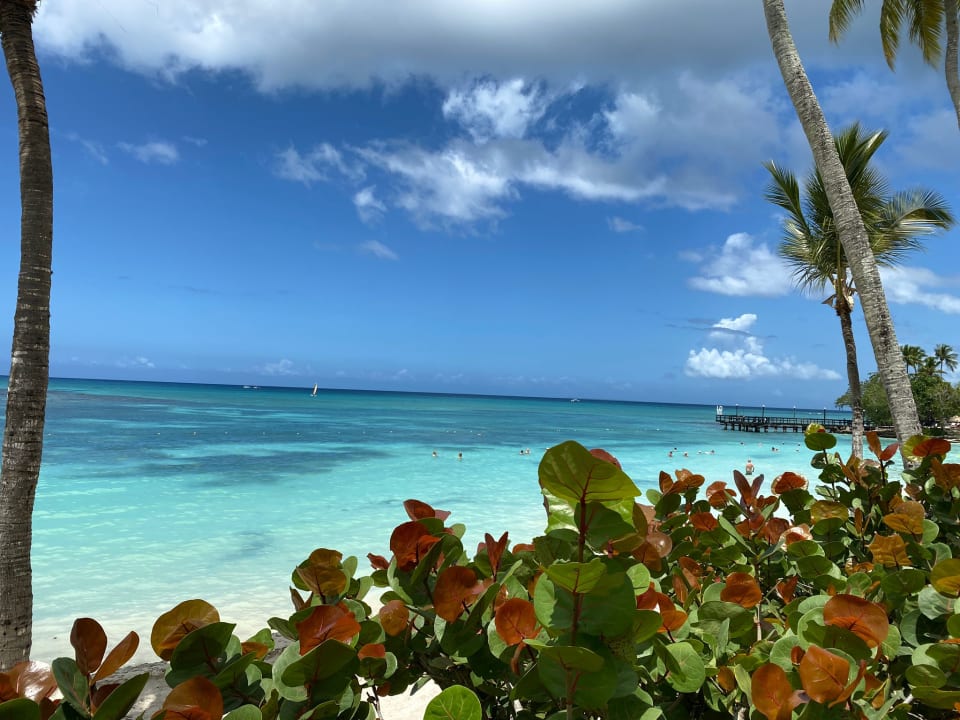 Strand Dreams La Romana Resort & Spa