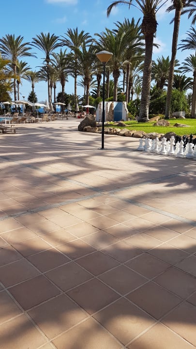 Gartenanlage SBH Hotel Costa Calma Palace