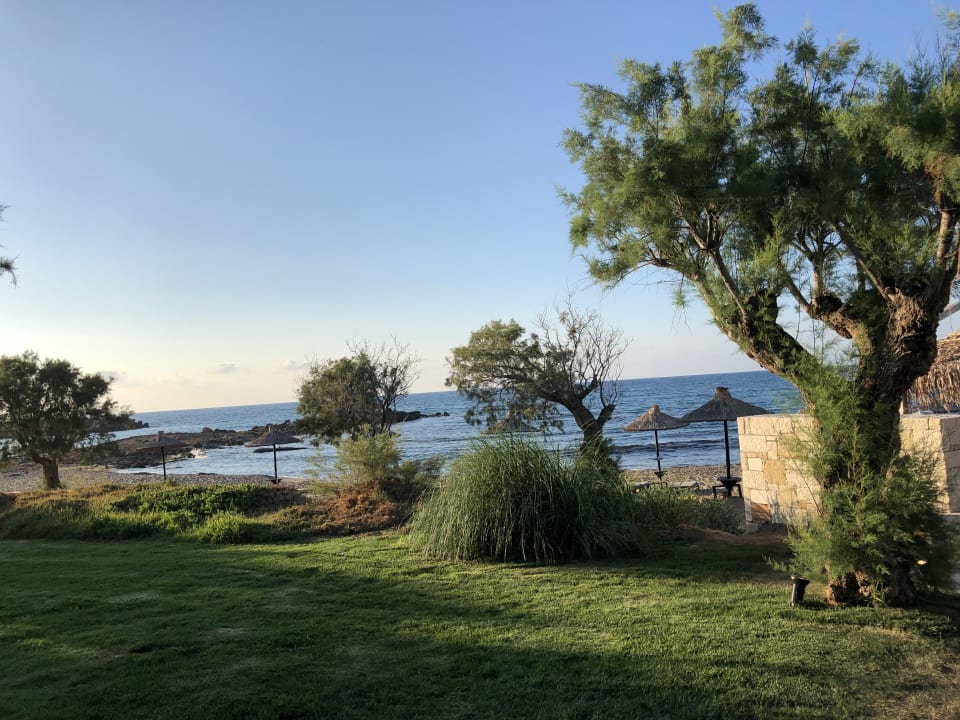 Gartenanlage Phãea Cretan Malia