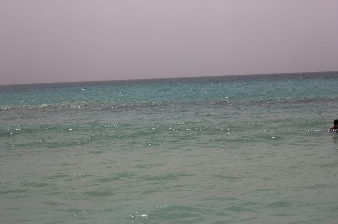 Strand Dreams Dominicus La Romana