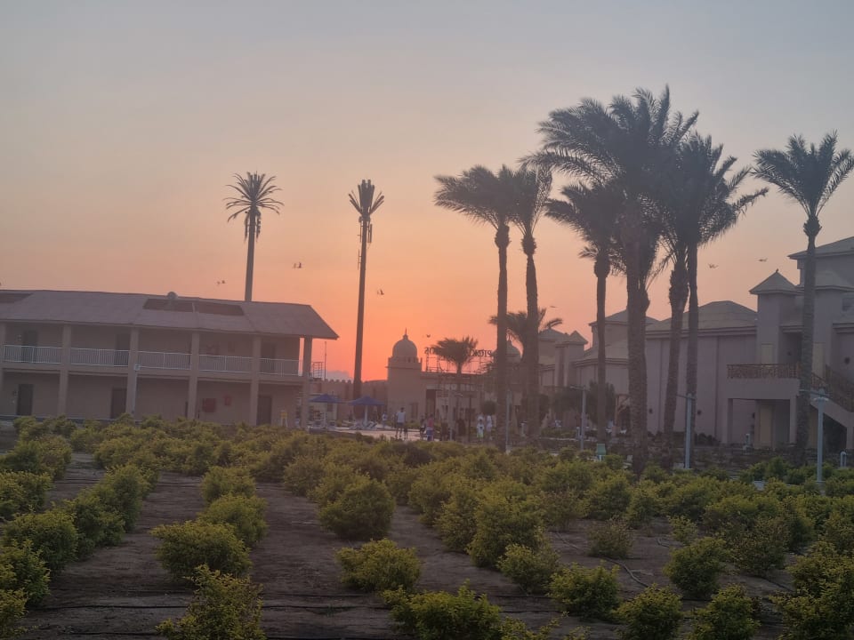 Gartenanlage Pickalbatros Jungle Aqua Park Resort - Neverland Hurghada