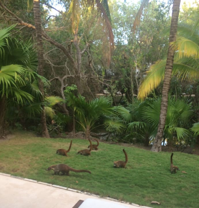 Gartenanlage Blue Diamond Luxury Boutique Hotel