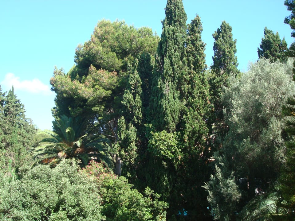 Gartenanlage Lago Garden