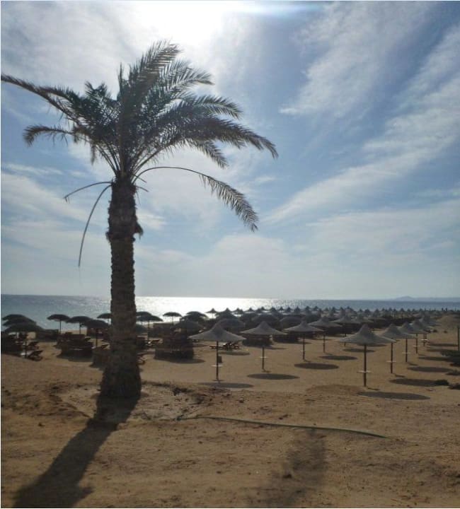 Der Strand Richtung Süden Hotel Gorgonia Beach Resort