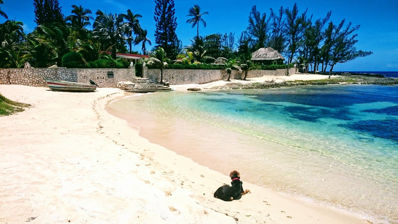 Strand Hotel Riu Ocho Rios
