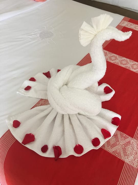 Zimmer Akumal Bay Beach & Wellness Resort