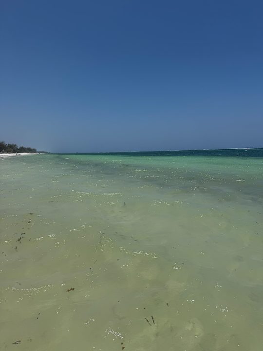 Strand Hotel Diani Sea Lodge