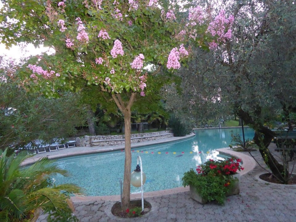 Pool  Hotel Marco Polo