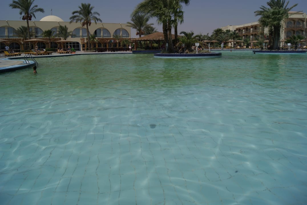 Czystość w basenie Desert Rose