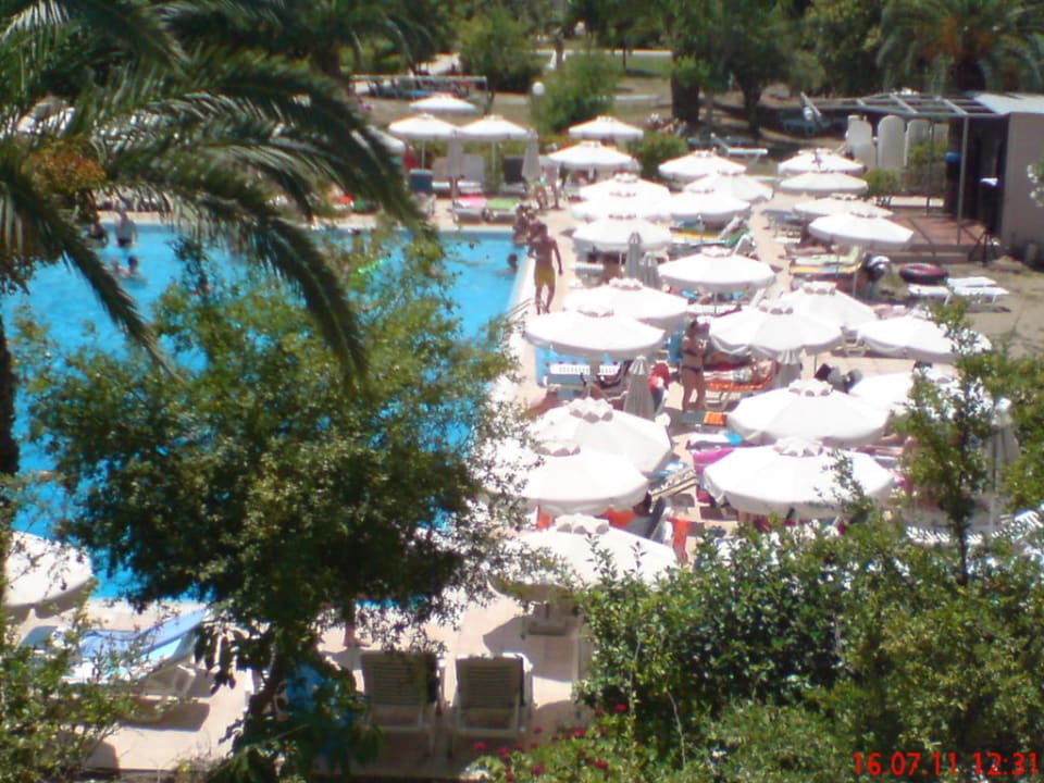 Der überfüllte Pool Ialyssos Bay