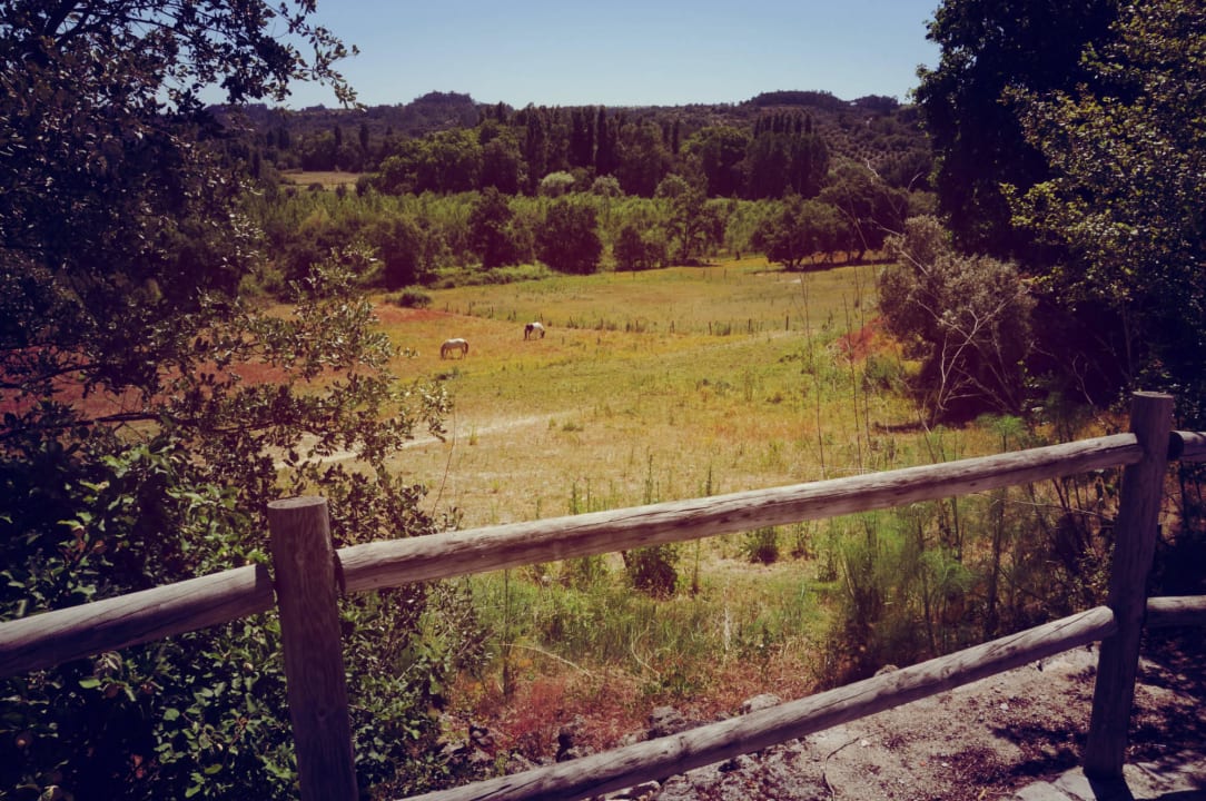 Alambique Cottage Quinta da Alcaidaria Mor